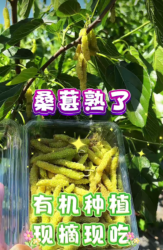 QQ20260529-084046.jpg