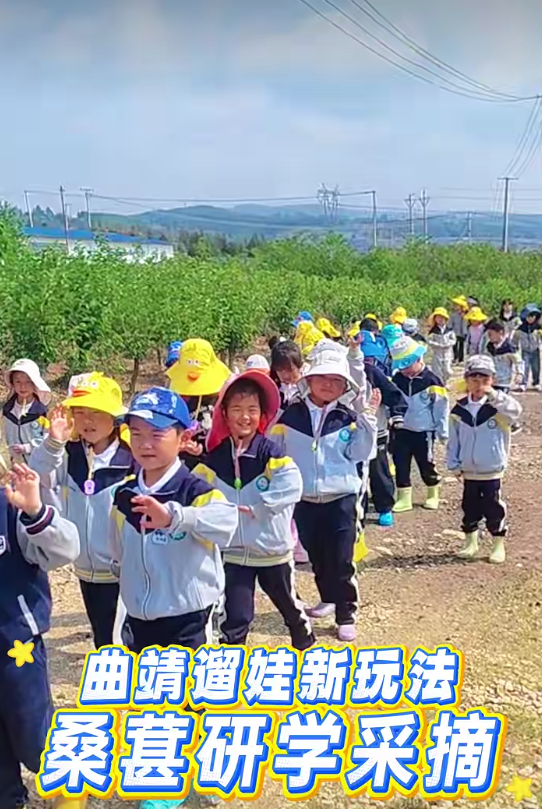 QQ20260529-083423.jpg